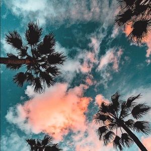 Meet your Posher, Hanna